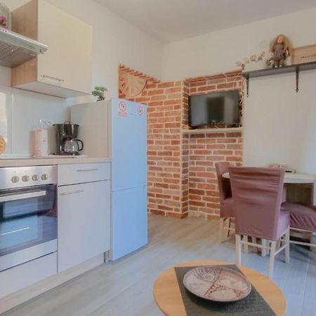 Appartement Enio à Novigrad Istria Extérieur photo