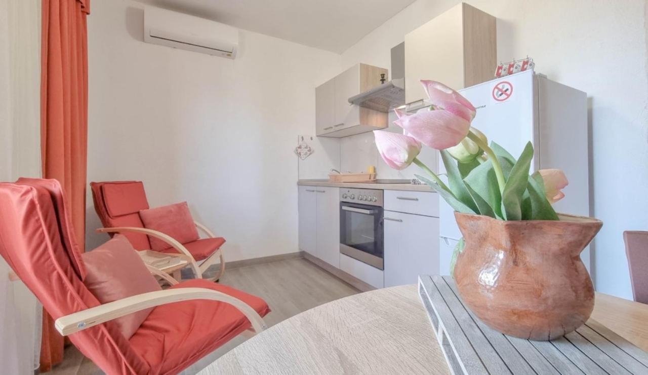 Appartement Enio à Novigrad Istria Extérieur photo
